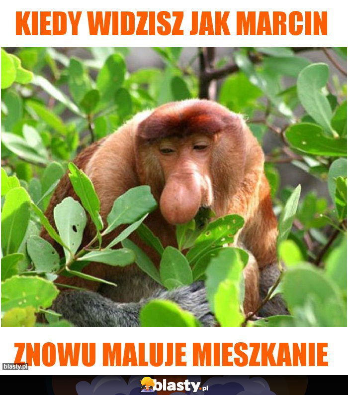 Kiedy widzisz jak marcin