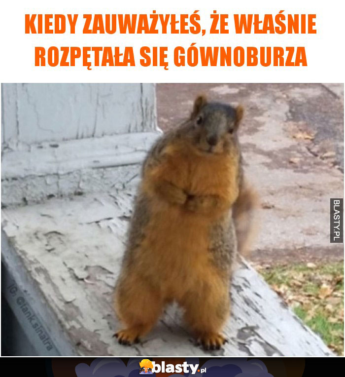 Kiedy zauważyłeś, że właśnie rozpętała się gównoburza