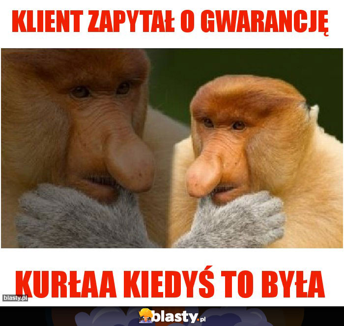Klient zapytał o gwarancję