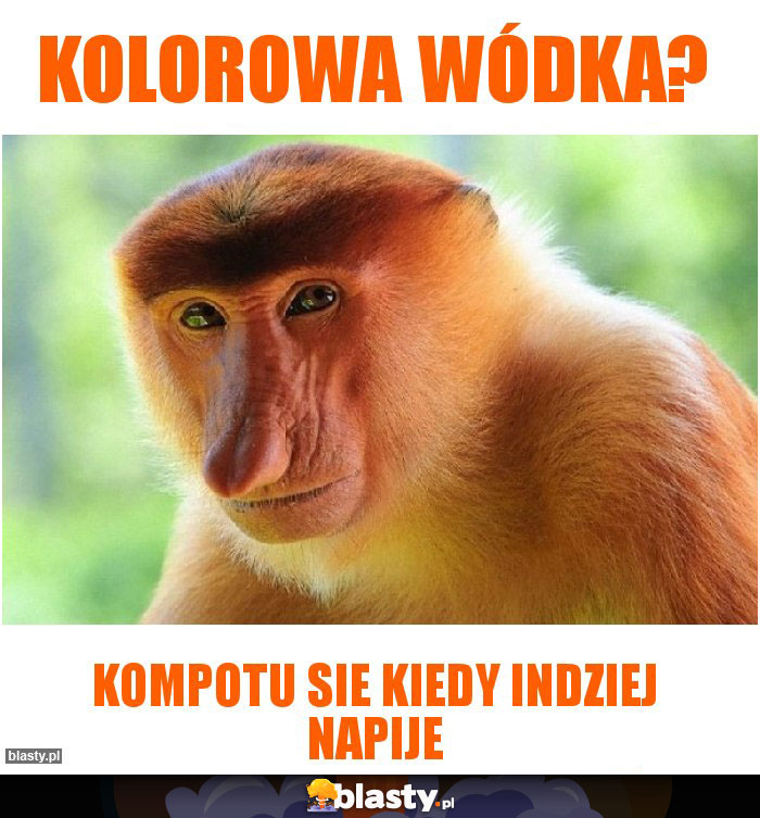 kolorowa wódka?