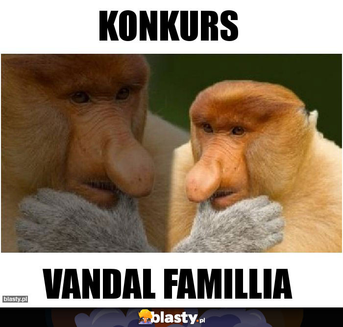 Konkurs