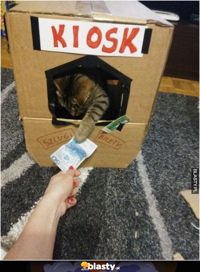 Kot sprzedawca