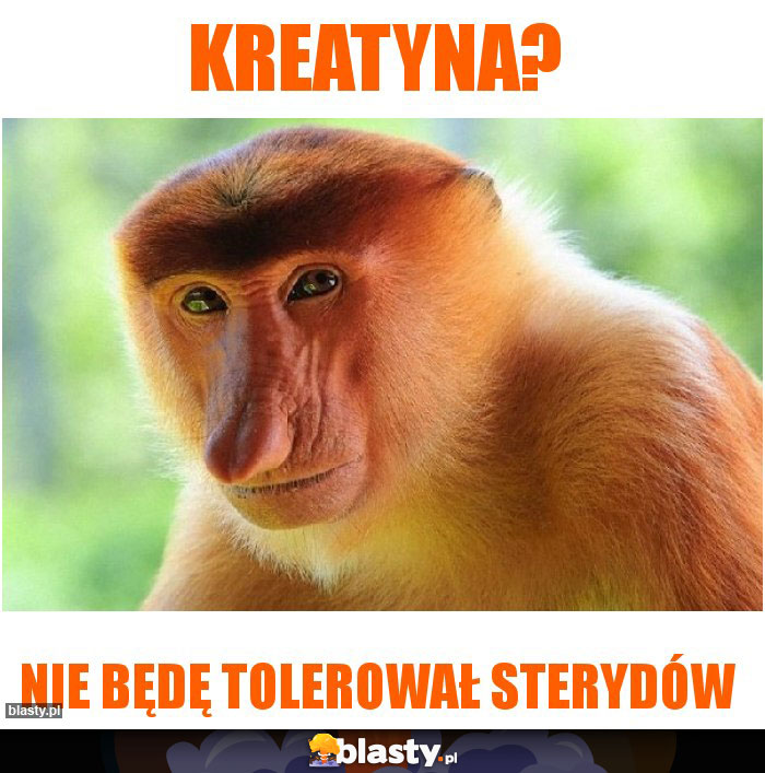 Kreatyna?