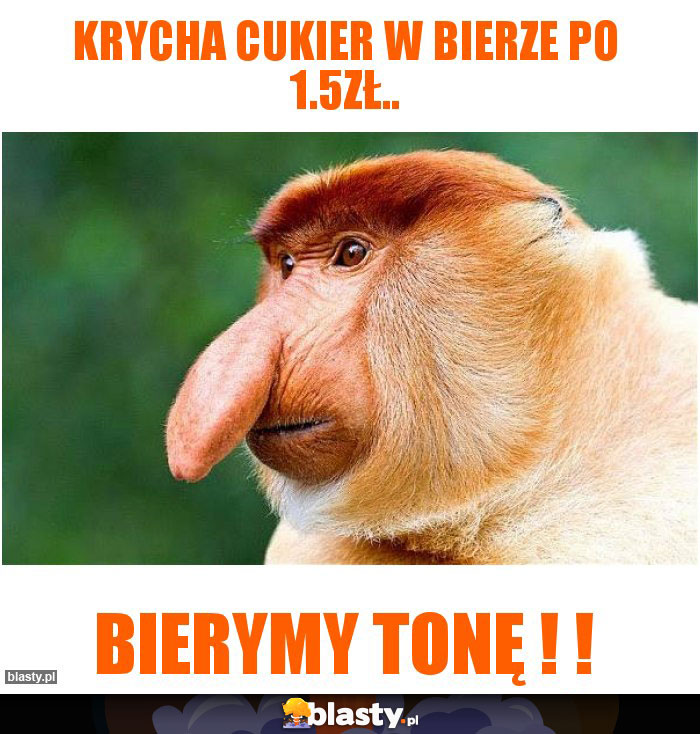 Krycha cukier w bierze po 1.5zł..