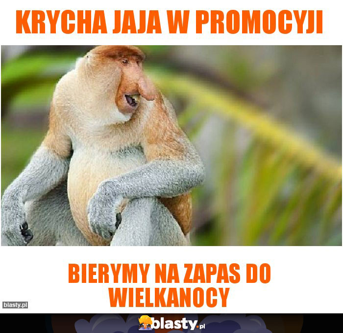 Krycha jaja w promocyji