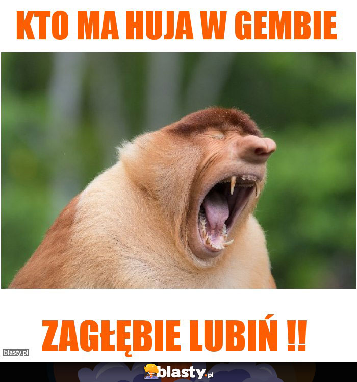kto ma huja w gembie