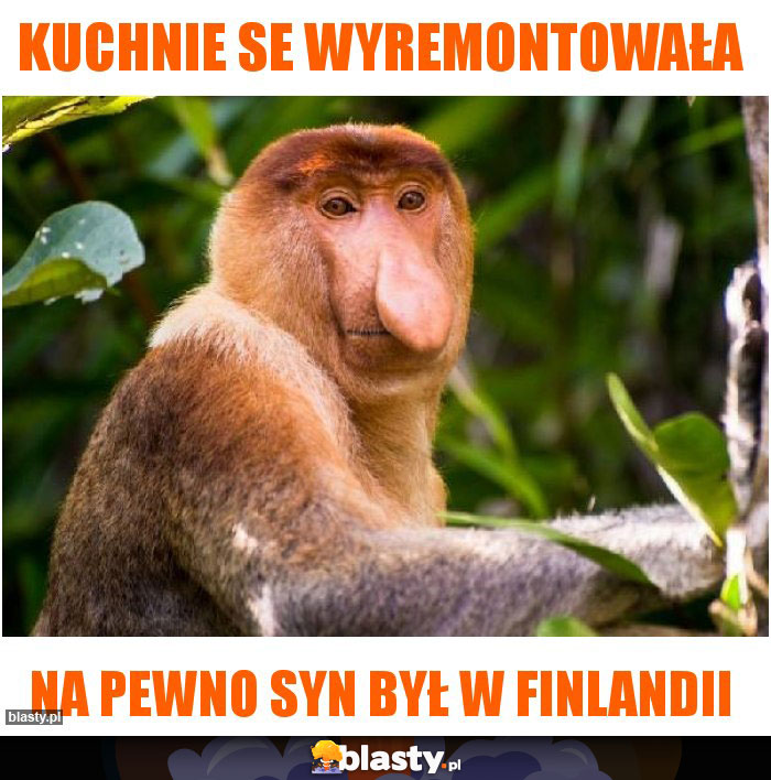 Kuchnie se wyremontowała