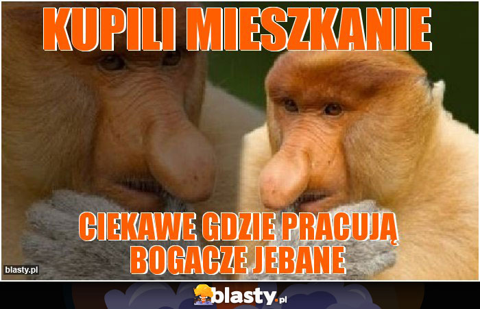 kupili mieszkanie