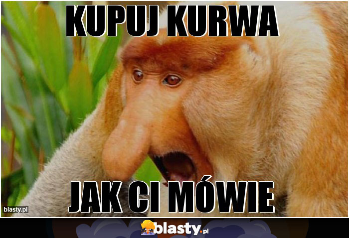 Kupuj Kurwa