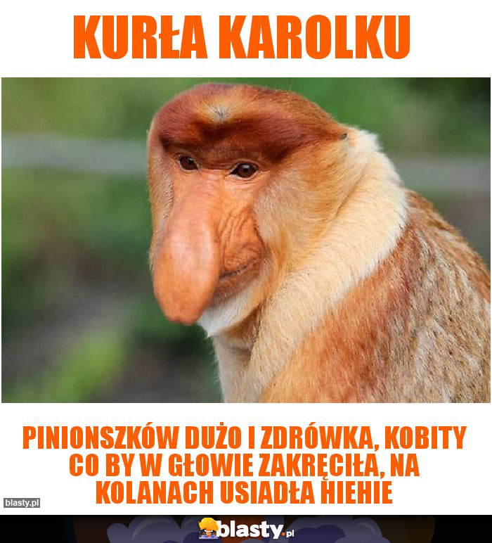 Kurła karolku