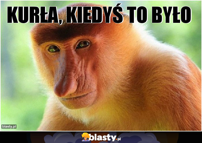 Kurła, kiedyś to było