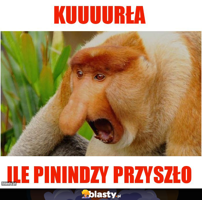 KUUUURŁA