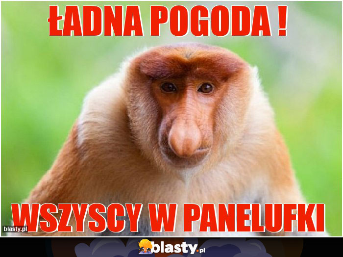 Ładna pogoda !