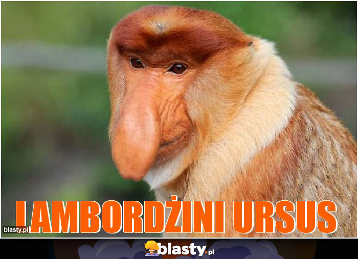 LAMBORDŻINI URSUS