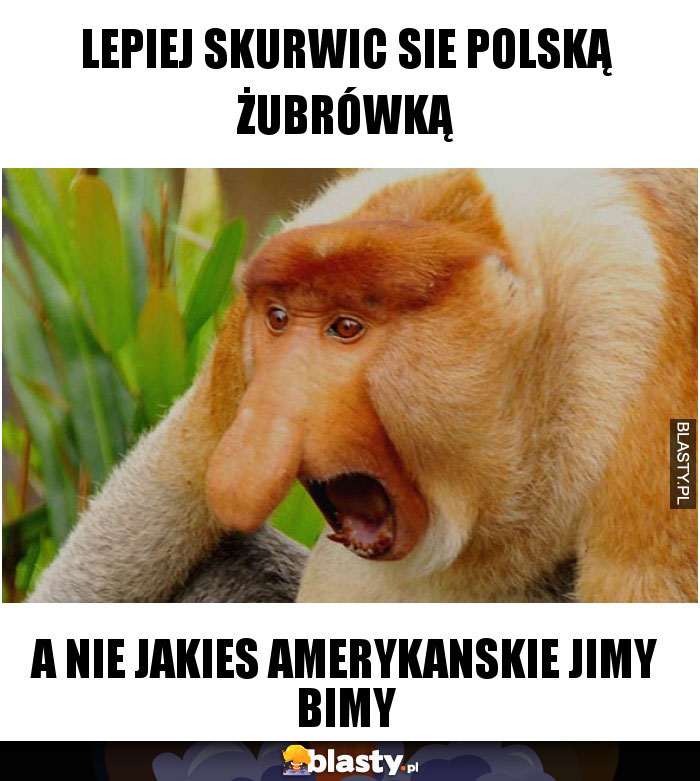 Lepiej skurwic sie polską żubrówką