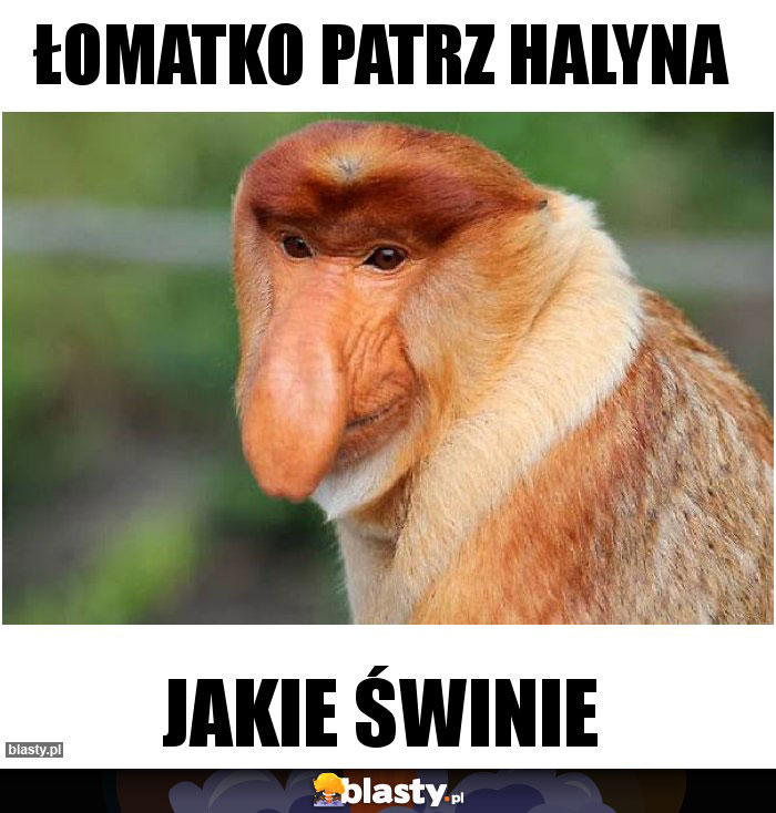 łomatko patrz halyna