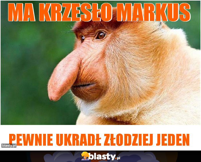MA KRZESŁO MARKUS