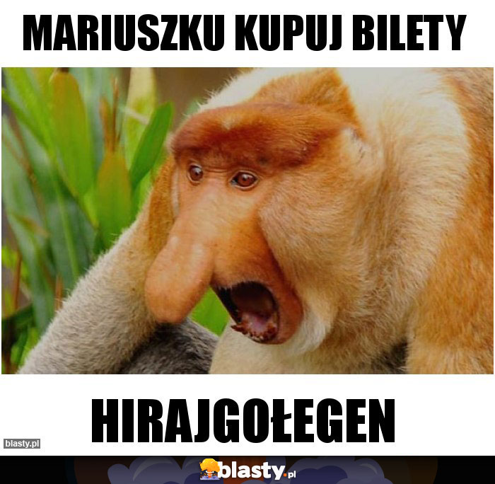 Mariuszku kupuj bilety
