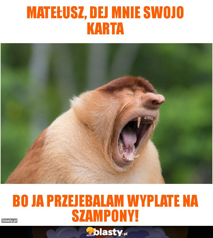 matełusz, dej mnie swojo karta