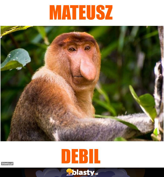 mateusz