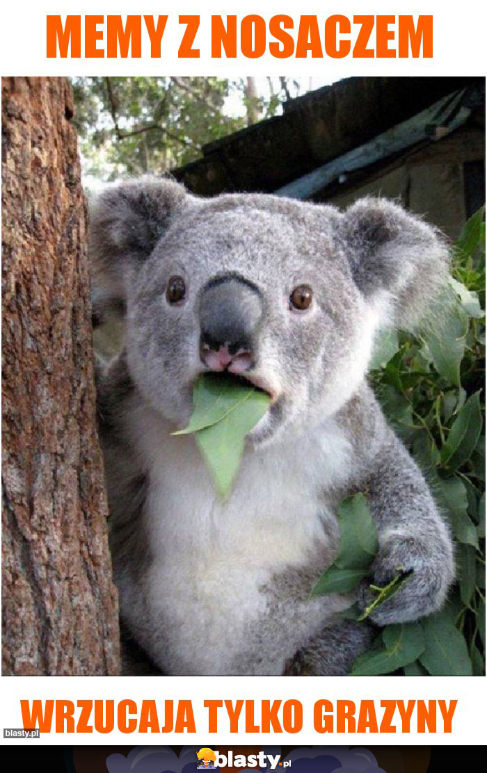 Memy z nosaczem