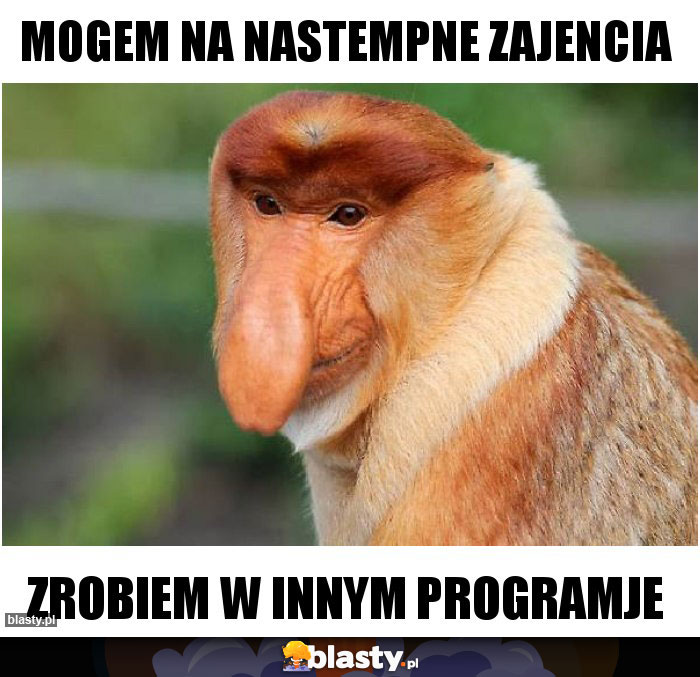 mogem na nastempne zajencia