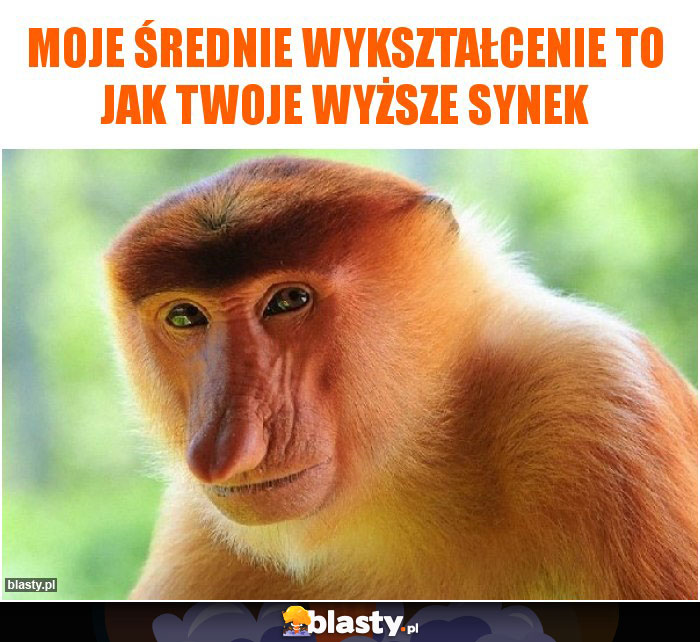 Moje średnie wykształcenie to jak Twoje wyższe synek