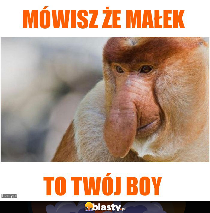 Mówisz że Małek