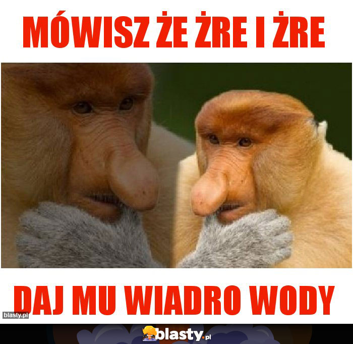 Mówisz że żre i żre