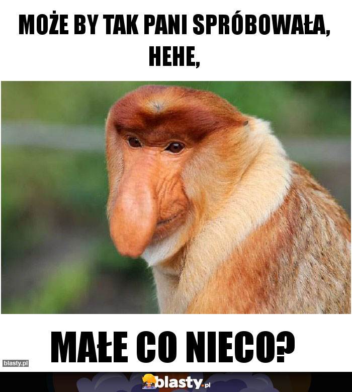 Może by tak pani spróbowała, hehe,