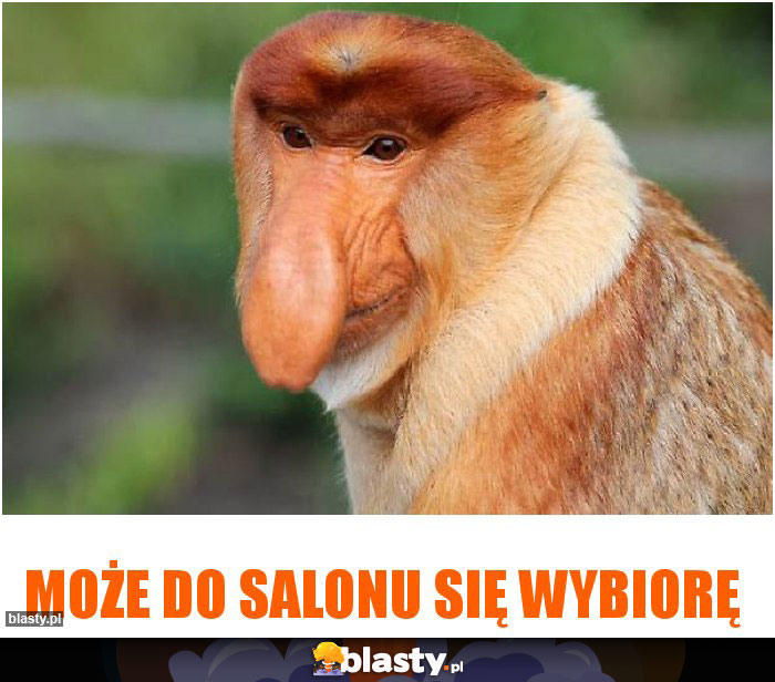 Może do salonu się wybiorę