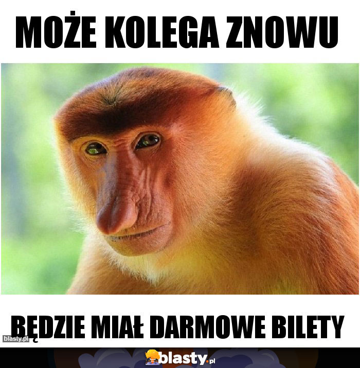 MOŻE KOLEGA ZNOWU