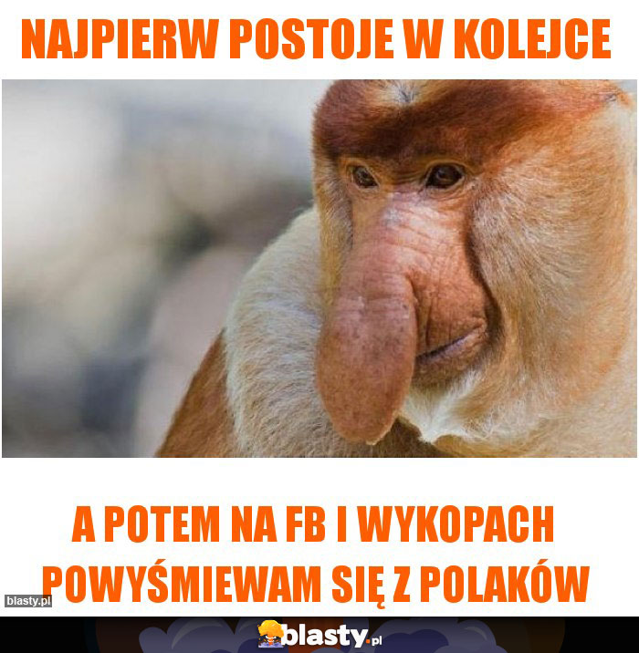 Najpierw postoje w kolejce