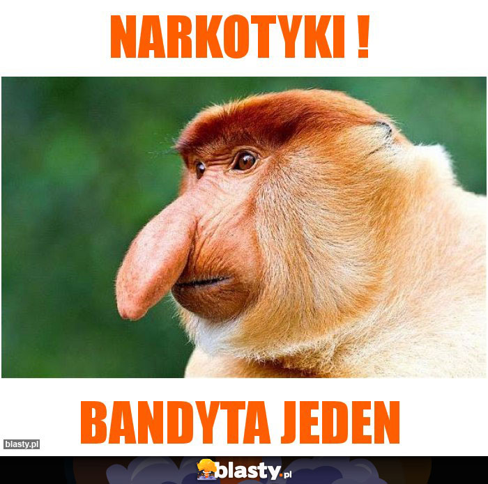 NARKOTYKI !