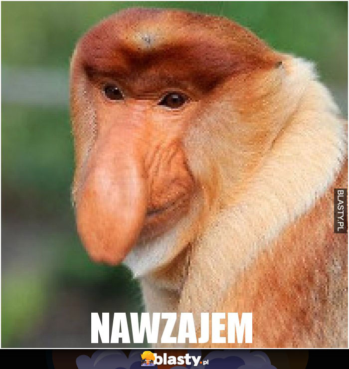 nawzajem
