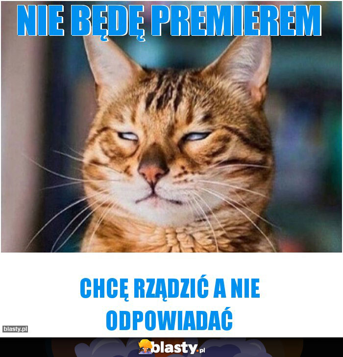 Nie będę premierem