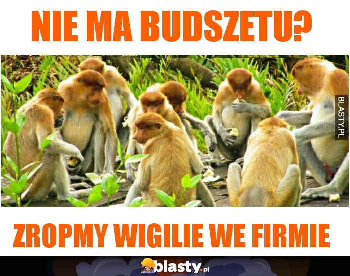 nie ma budszetu?