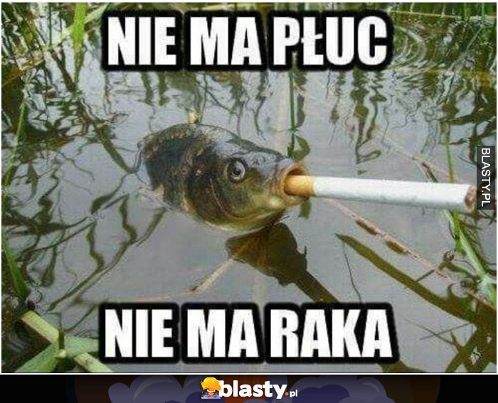 Nie ma płuc, nie ma raka