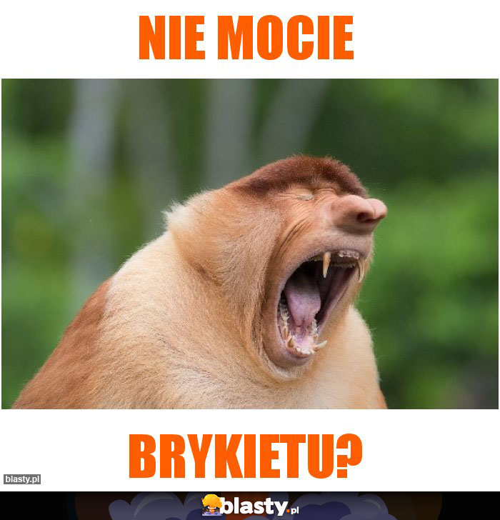 Nie mOcie