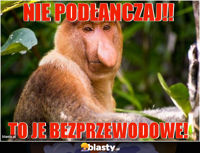 Nie podłanczaj!!