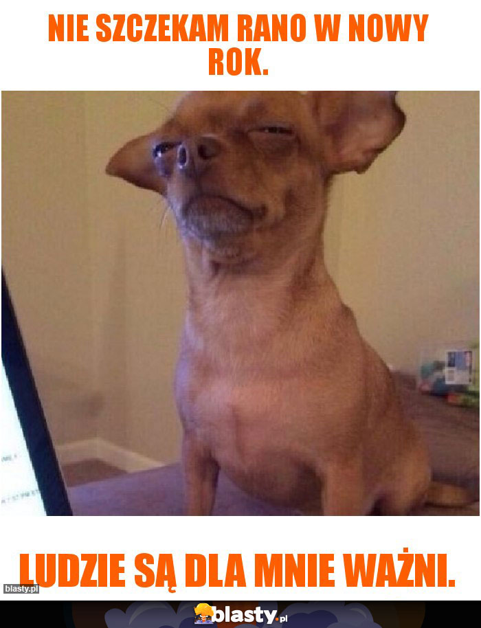 Nie szczekam rano w Nowy Rok.