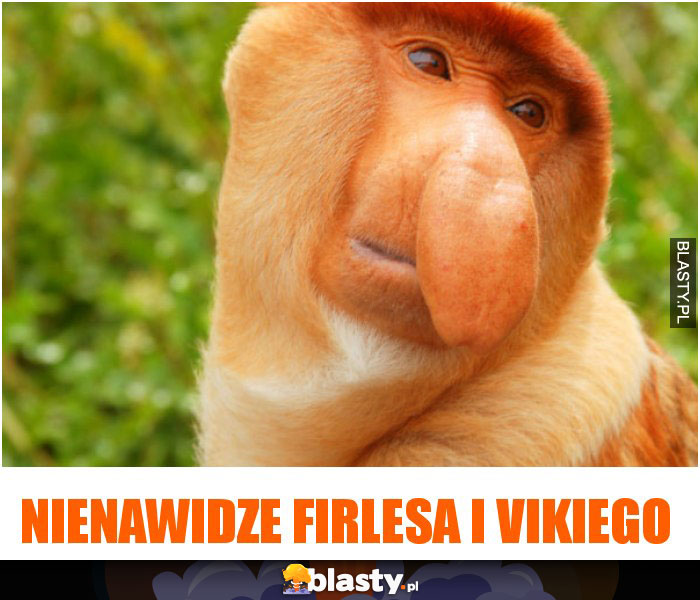 nienawidze firlesa i vikiego