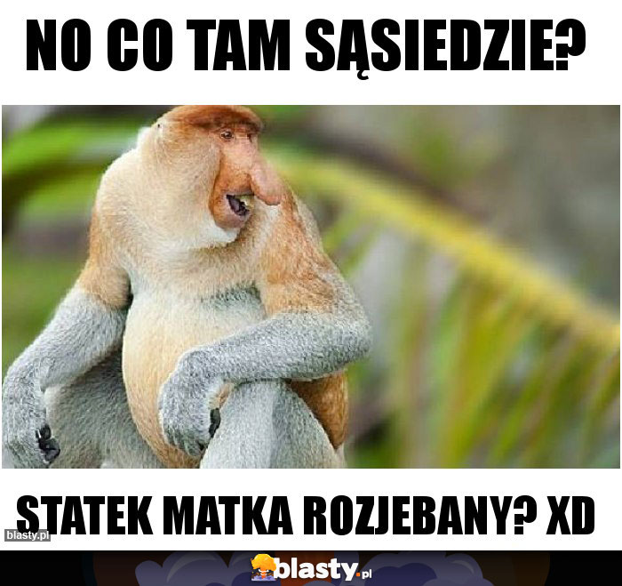 NO CO TAM SĄSIEDZIE?
