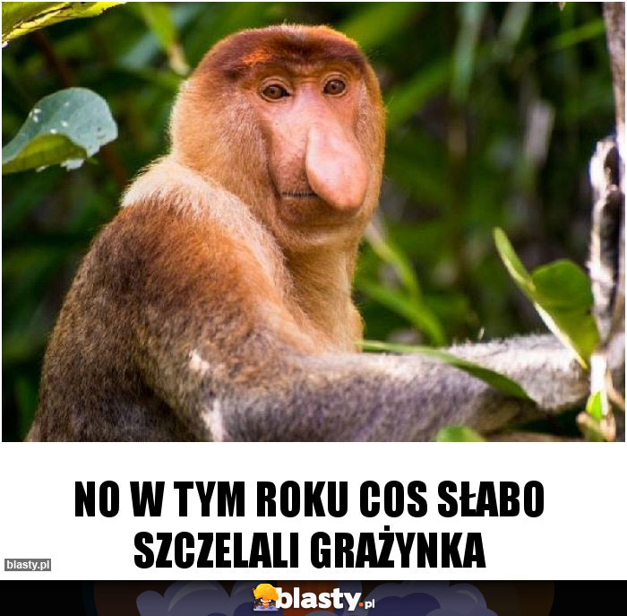 no w tym roku cos słabo szczelali grażynka
