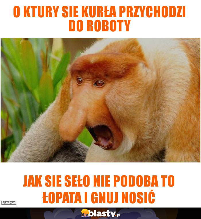o ktury sie kurła przychodzi do roboty