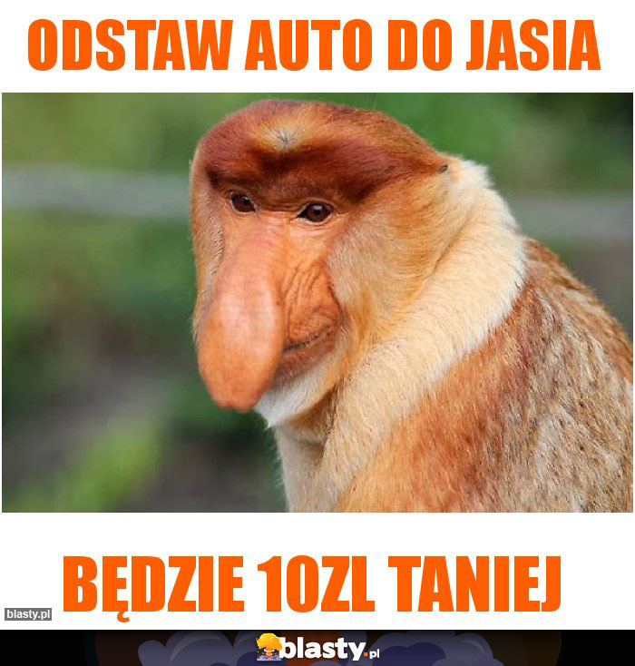 Odstaw auto do Jasia