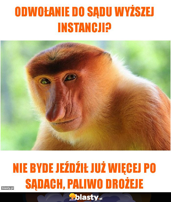 Odwołanie do sądu wyższej instancji?