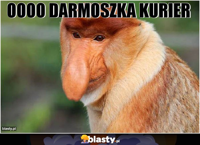 Oooo darmoszka kurier