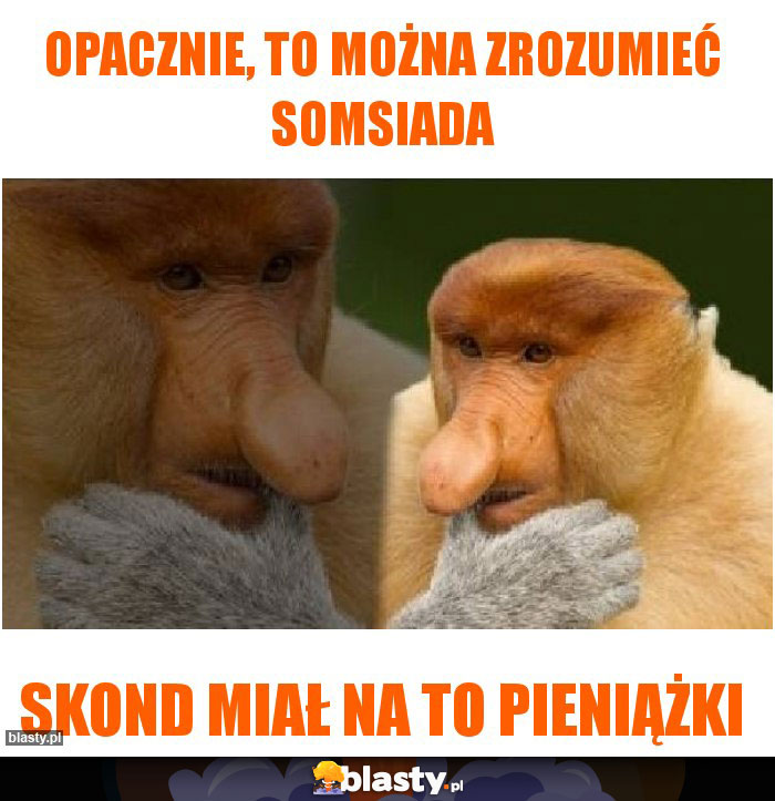 OPACZNIE, TO MOŻNA ZROZUMIEĆ SOMSIADA
