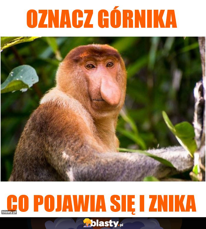 Oznacz Górnika